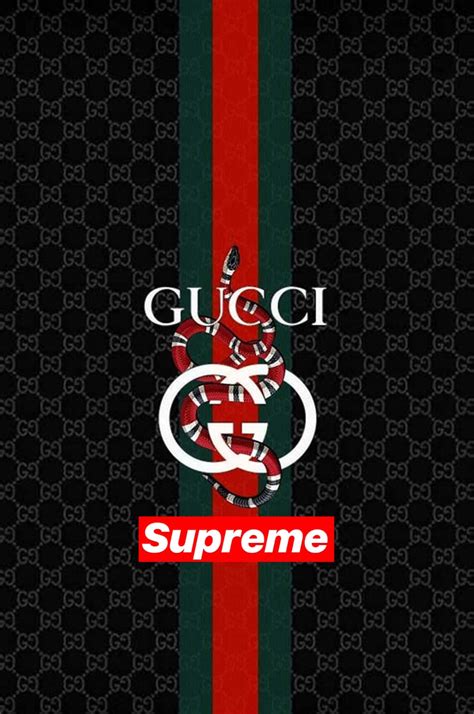 gucci supreme wallpaper hd|Gucci background download.